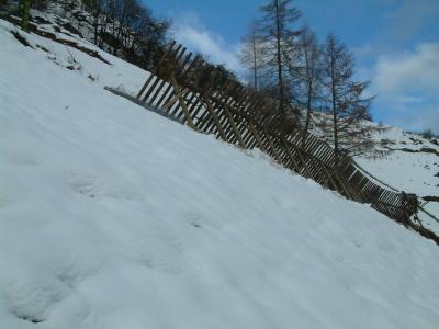 paraneve-vermiglio-2004